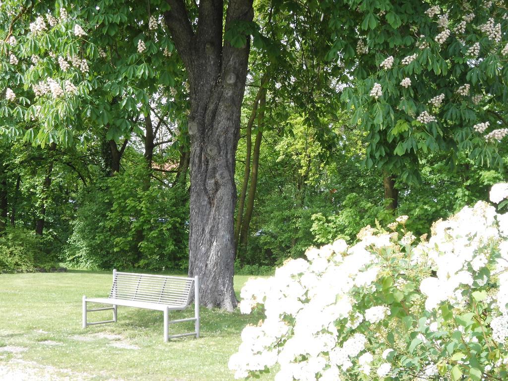 Haus Am Bach - Gemuetliche Pension Allershausen Kültér fotó